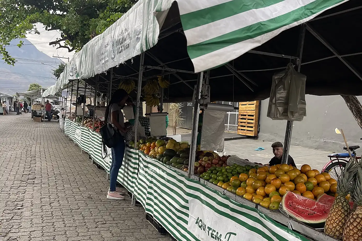 335 barracas para feirantes